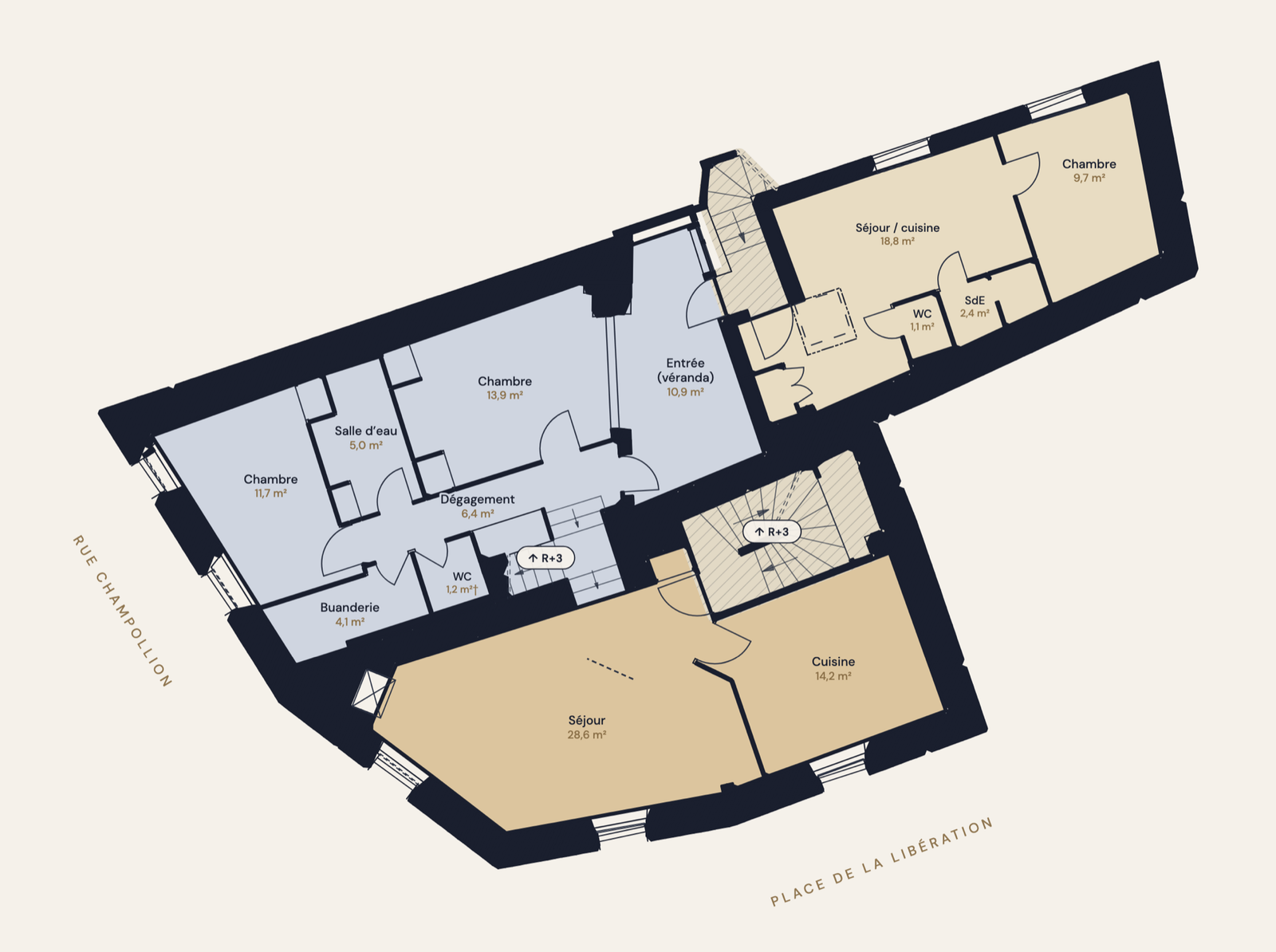 Plan du niveau R+2 (2e étage) de l'immeuble rue Champollion à Vif : lots 10, 11 et 12